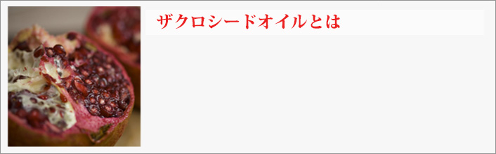 ザクロシードオイルとは