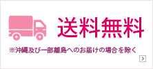 送料無料 ※沖縄及び一部離島へのお届けの場合を除く