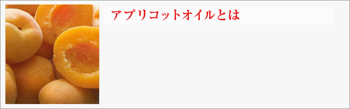 アプリコットオイルとは