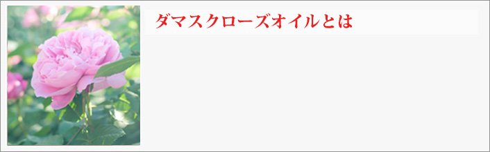 ザクロシードオイルとは