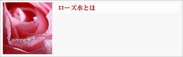 ザクロシードオイルとは