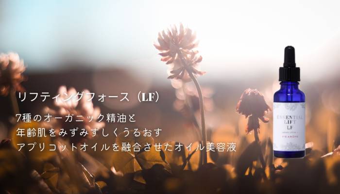 TOP画像