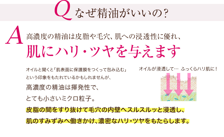 Q ʤΡA ǻ٤ӷꡢȩؤοƩͥ졢ȩ˥ϥꡦĥͿޤ