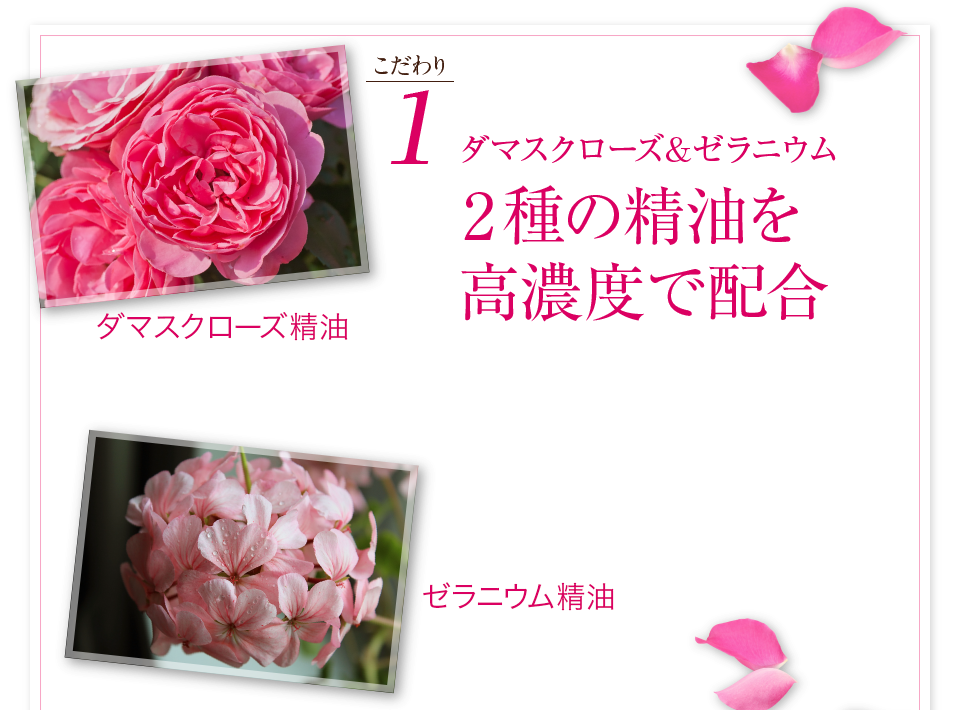 1.ޥ&˥2ǻ٤۹  ޥ  ˥