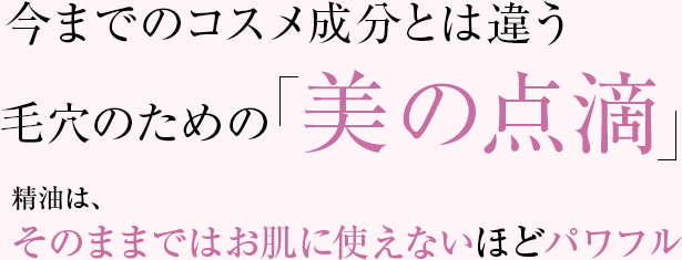 ޤǤΥʬȤϰ㤦ӷΤΡũϡΤޤޤǤϤȩ˻Ȥʤۤɥѥե
