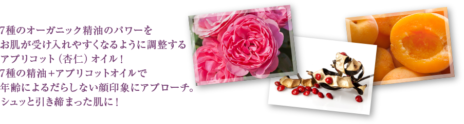 7Υ˥åΥѥȩ䤹ʤ褦Ĵ륢ץꥳåȡʰɿΡ˥롪7ܥץꥳåȥǯˤ餷ʤݤ˥ץäȰޤäȩˡ